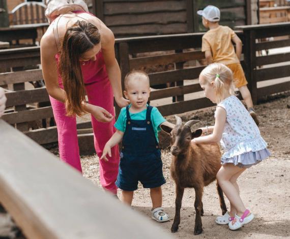 Екскурсія діток ВПО до контактного зоопарку Animal park